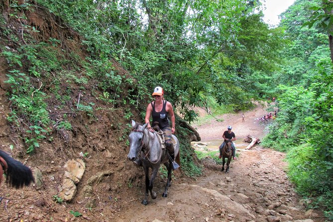 Discover a Nature Reserve on Horseback - Pricing Details