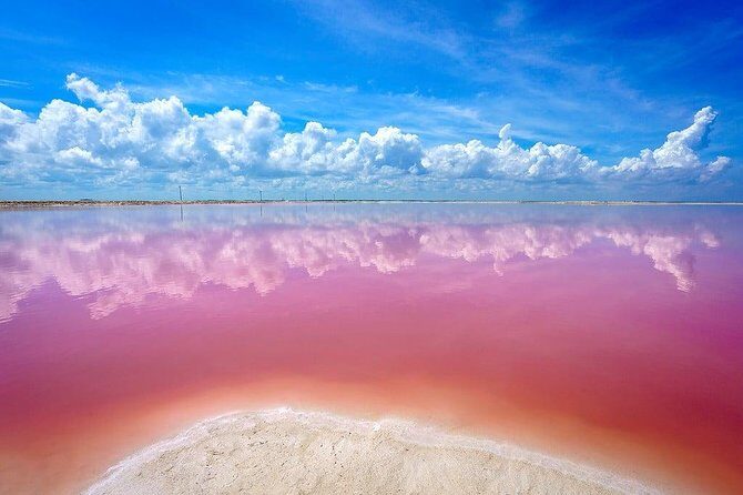 Discover a Pink Lagoon in The Coloradas with Transportation from Cancún - FAQ