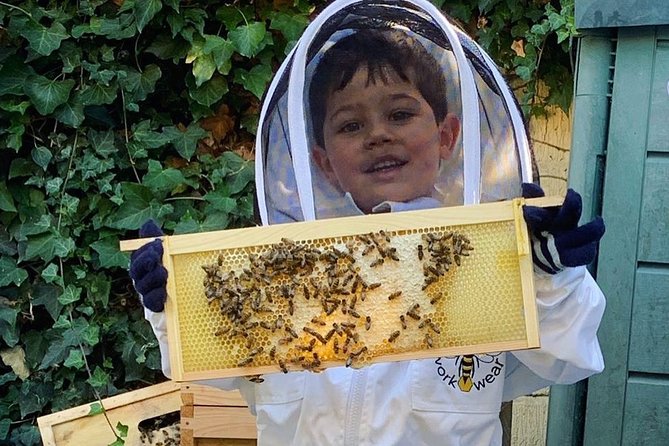 Discover Active Beehives in London - Overview of Active Beehives in London