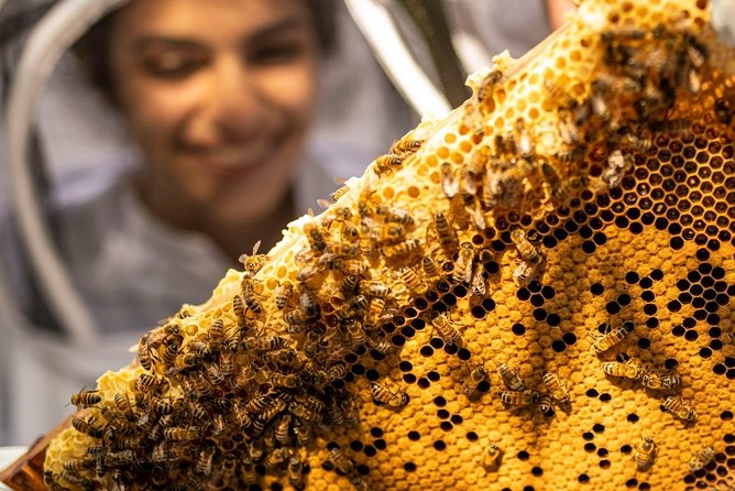 Discover Active Beehives in London - Inclusions for the Beekeeping Experience