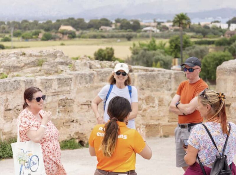 Discover Alcudia's Hidden Gems: Walking Tour of the Old Town - An In-Depth Look at the Alcudia Old Town Walking Tour