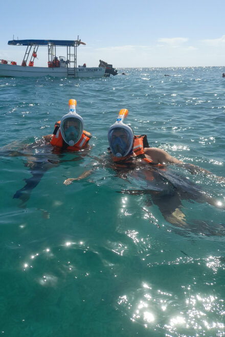 Discover an Amazing Reefsnorkel Tour From Cancun! - Important Information