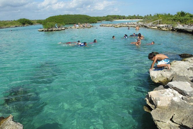 Discover an amazing world:Cenote exploration and jungle soaring. Buffet included - Who Will Love This Tour?