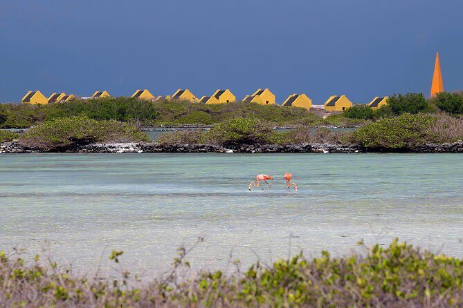Discover and Explore the Salt Works and Slave Huts in Bonaire - Transportation and Comfort