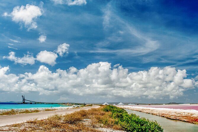 Discover and Explore the Salt Works and Slave Huts in Bonaire - Cost and Value Analysis