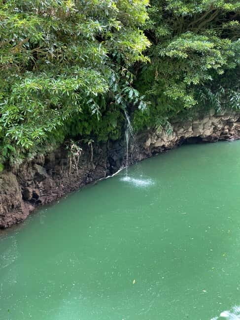 Discover and Hike São Miguel with Rúben - Good To Know