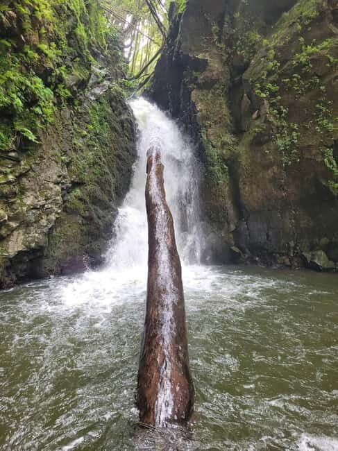 Discover and Hike São Miguel with Rúben - Frequently Asked Questions