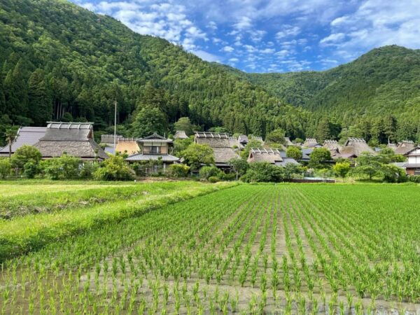 Discover Another Kyoto–Beautiful Landscape in Countryside - Booking Details