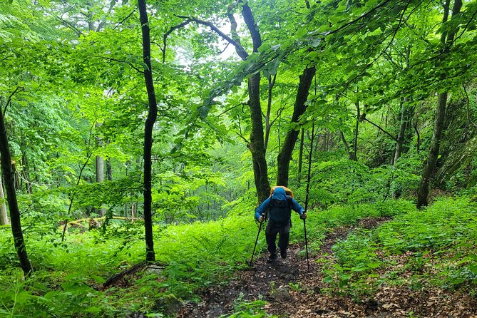 Discover Apuseni Mountains - Scarita Summit,Sipote Waterfall and Dumesti Village - Additional Information