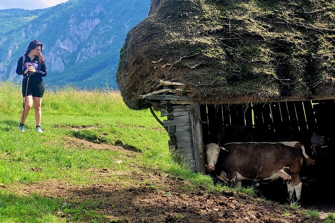 Discover Apuseni Mountains - Scarita Summit,Sipote Waterfall and Dumesti Village - Reviews