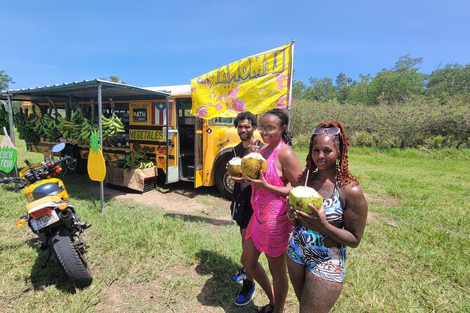 Discover Arecibo "The Biggest Town" All Inclusive! - Cultural Delights in Arecibo