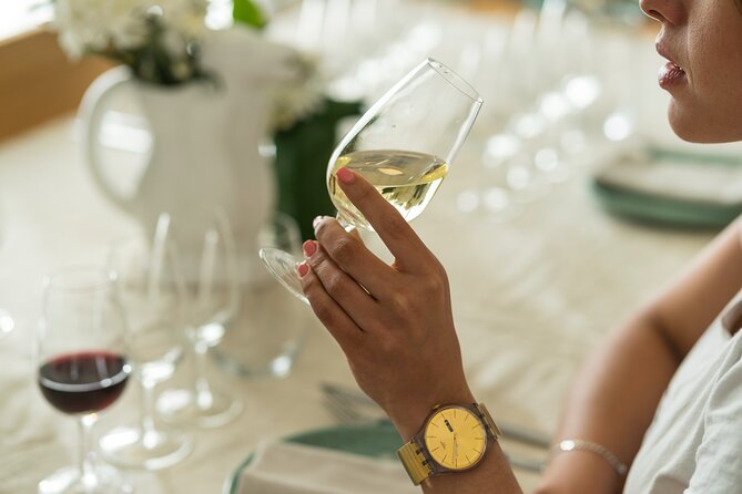 Discover Argentine Wines and Delicious Tapas - Argentine Wine Regions