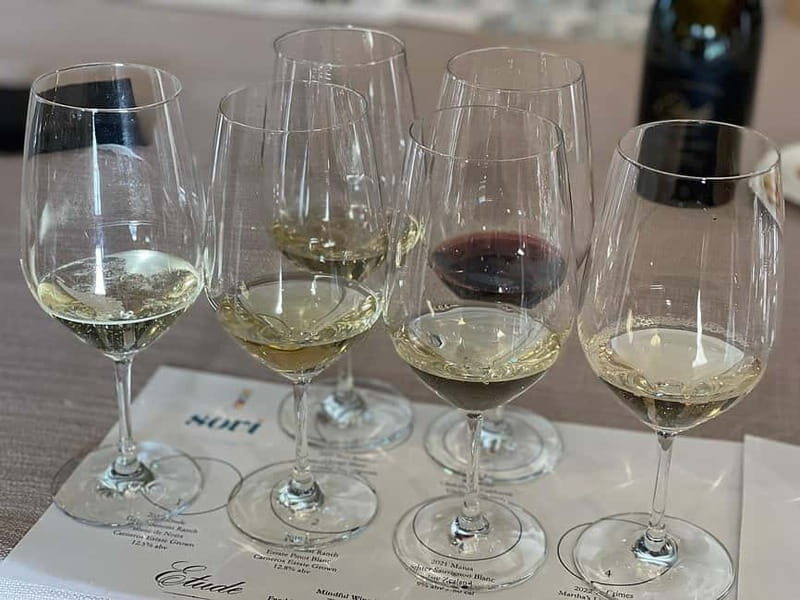 Discover Arrábida: Wine and Scenic Wonders - Good To Know