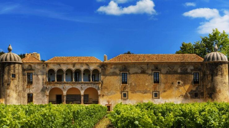 Discover Arrábida: Wine and Scenic Wonders - Booking Details