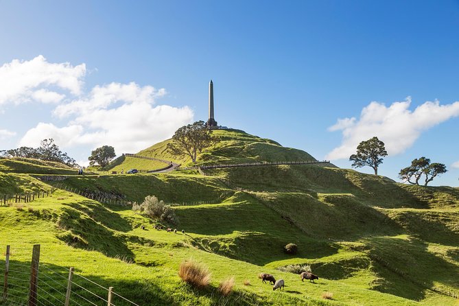 Discover Auckland City - Highlights Tour - Meeting and Pickup Details