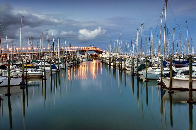 Discover Auckland City - Highlights Tour - Common Questions