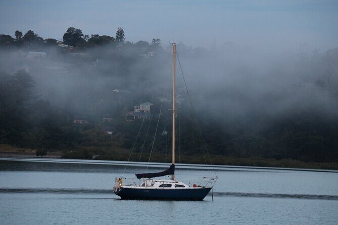 Discover Aucklands Famous Spots - An In-Depth Look at What You Can Expect