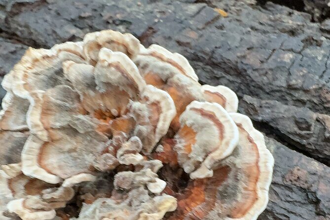 Discover Aurora Illinois Hiking Getaway - Final Thoughts: Is It Worth It?