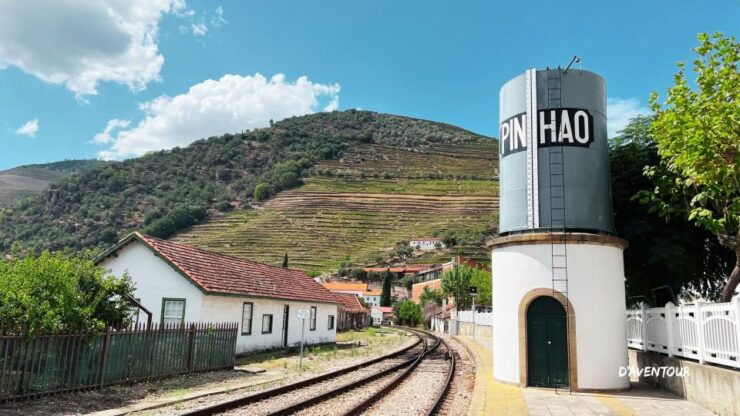 Discover Authentic Douro With D'aventour - Duration, Availability, and Itinerary