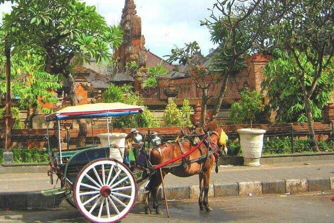 Discover Bali : Shore Excursion from Benoa Port with Free Wi-Fi - Good To Know