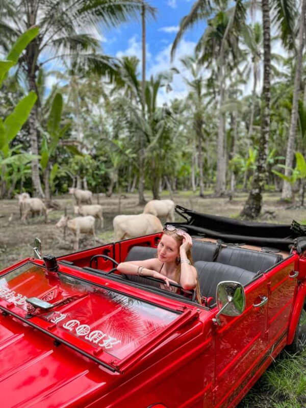 Discover Balis Roots in a Vintage VW - FAQ