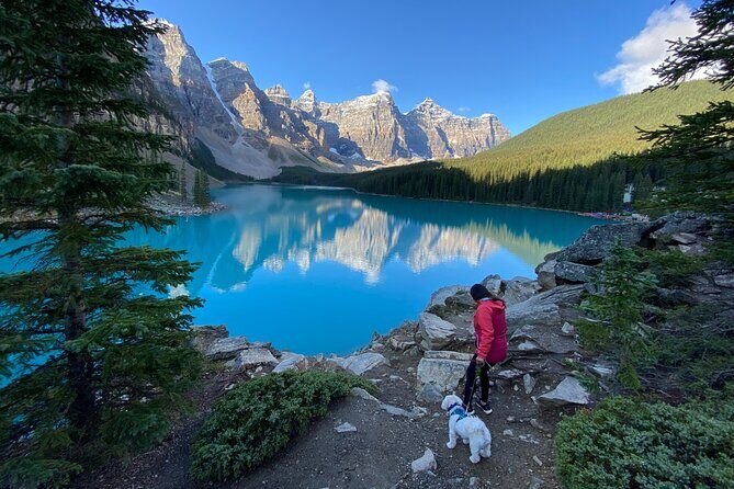 Discover Banff National Park with Dog Friendly Exclusive Tour - Good To Know