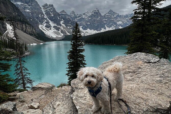 Discover Banff National Park with Dog Friendly Exclusive Tour - Final Thoughts