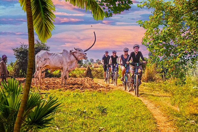 Discover Battambang Local Livelihoods on a Half-Day Bicycle Tour - Local Experiences and Interactions