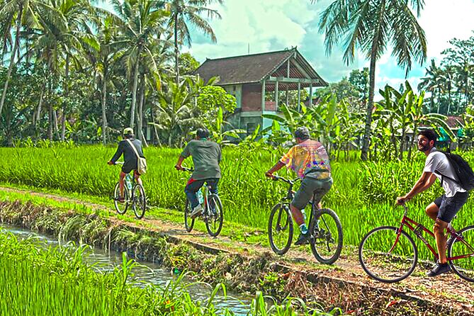 Discover Battambang Local Livelihoods on a Half-Day Bicycle Tour - Background