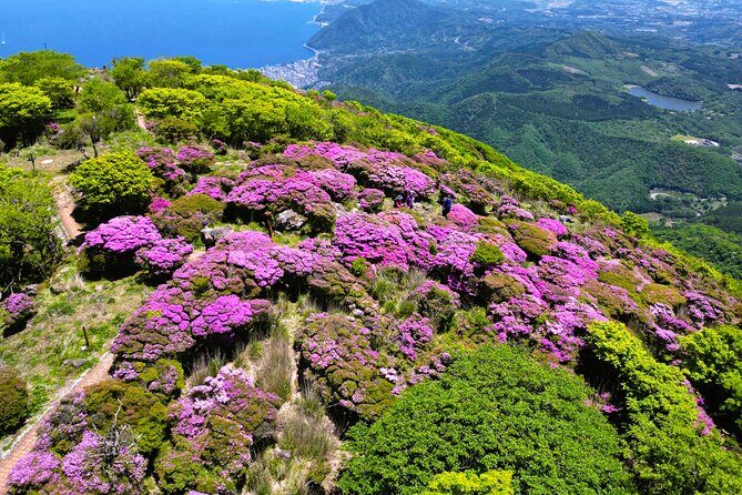 Discover Beppu and Yufuin Nature and Onsen Trip - Final Thoughts