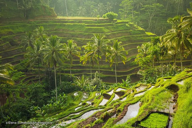 Discover Best Of Bali in 2 Day Private Tour Package-All Included - Tour Duration and Pickup Service