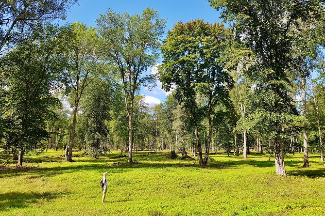 Discover Best Of Gauja National Park In One Day - Tour Highlights