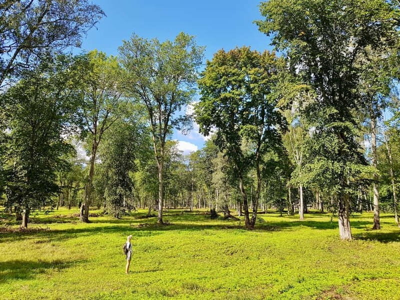 Discover Best of Sigulda and Gauja National Park In One Day - An Overview of the Sigulda and Gauja National Park Tour