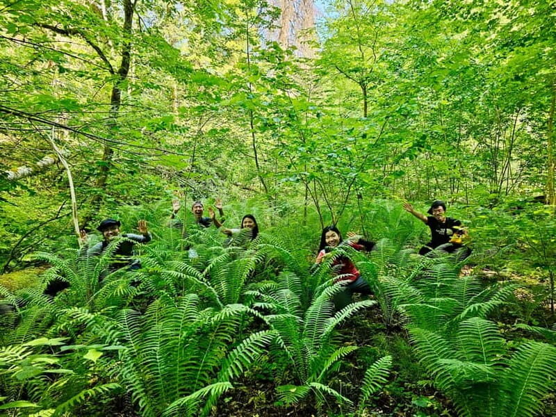 Discover Best of Sigulda and Gauja National Park In One Day - Who This Tour Suits Best