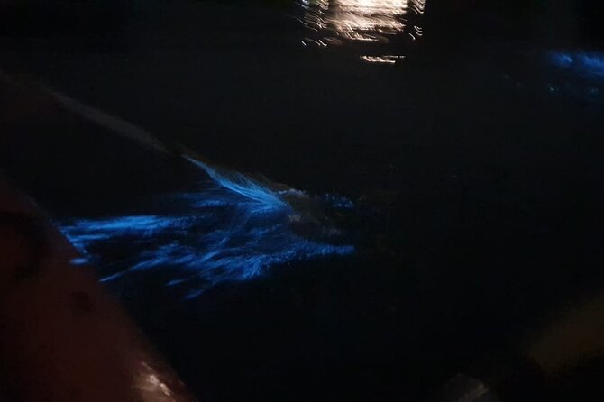 Discover Bioluminescent Plankton Using Kayak in Lan Ha Bay - What Is Bioluminescent Plankton?