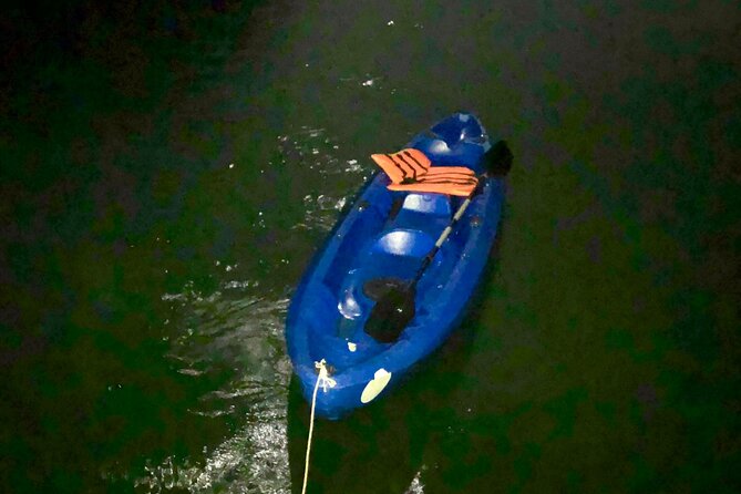 Discover Bioluminescent Plankton Using Kayak in Lan Ha Bay - Tips for Discovering Bioluminescent Plankton