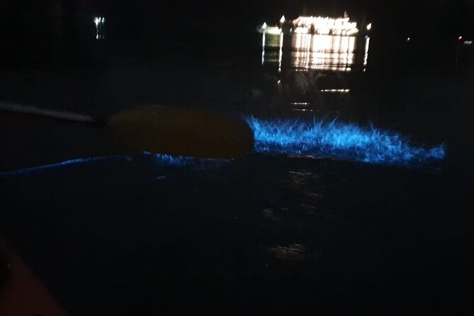 Discover Bioluminescent Plankton Using Kayak in Lan Ha Bay - Booking Your Bioluminescent Plankton Tour