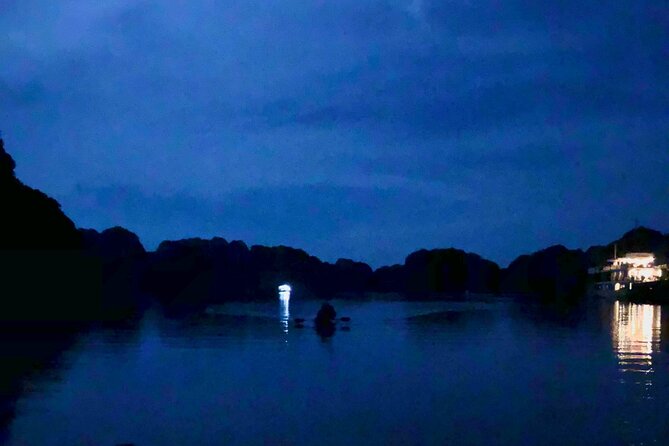 Discover Bioluminescent Plankton Using Kayak in Lan Ha Bay - Common Questions