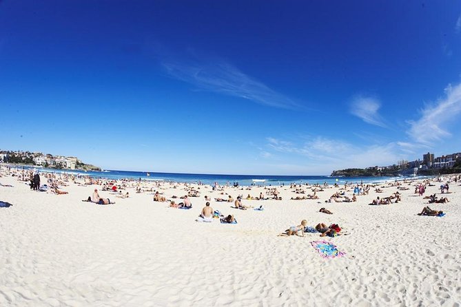 Discover Bondi Guided Beach And Coastal Walking Tour - Common Questions