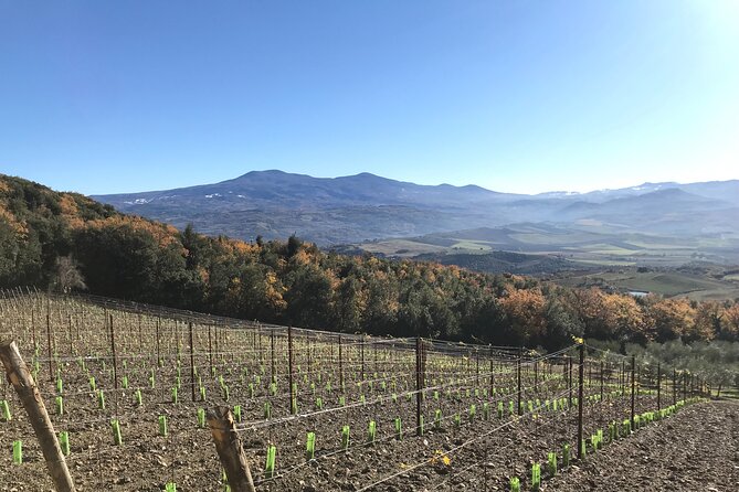 Discover Brunello Wines With Diwine Experience - Common Questions