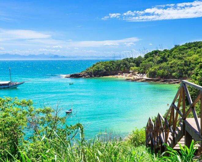 Discover Búzios Beaches and Boat Tours - Leaving From Búzios - Culinary Delight and Lunch