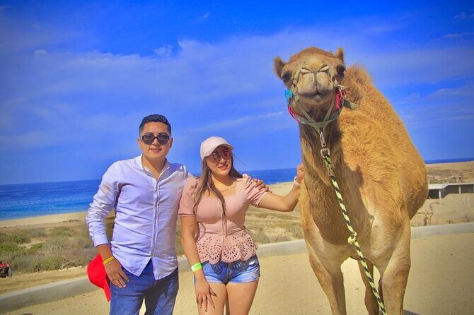 Discover Cabo San Lucas by camel ride - An In-Depth Look at the Camel Ride Experience