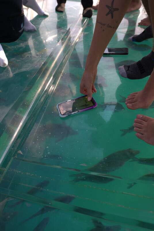 Discover Cabo San Lucas Clear Boat Glass Factory & Tequila - Good To Know