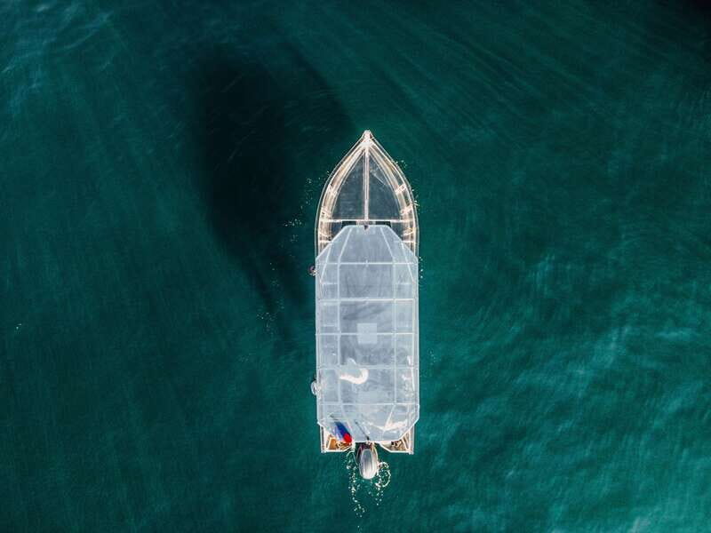 Discover Cabo San Lucas Clear Boat Glass Factory & Tequila - Introduction