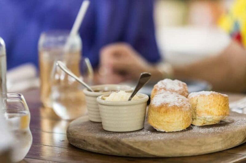 Discover Cairns: Cairns River Cruise & City Sights Tour - Pricing and Value