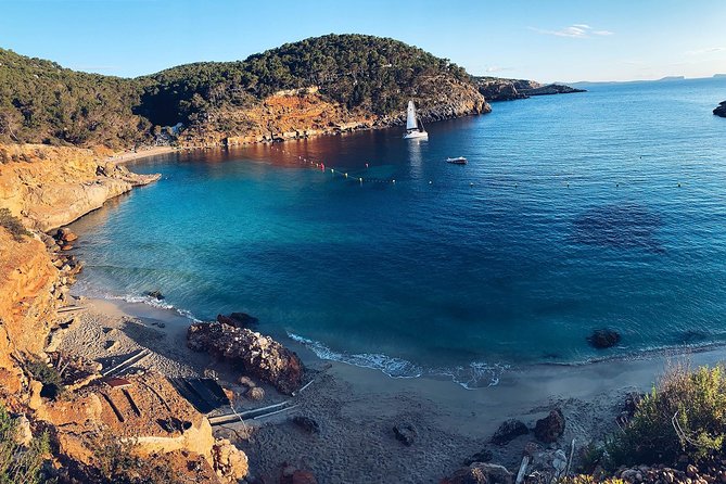 Discover Cala Bassa and Cala Comte on Board a Catamaran - Catamaran Tour Highlights