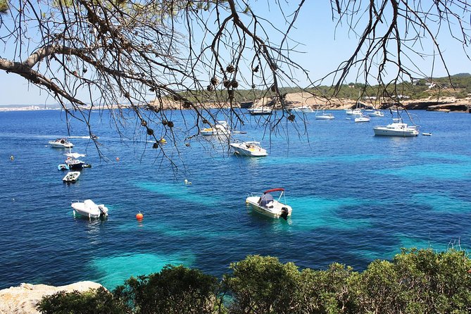 Discover Cala Bassa and Cala Comte on Board a Catamaran - Unwind at Cala Comte