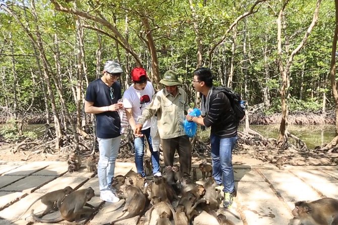 Discover Can Gio Mangrove Forest by Scooter Full Day Tour From Ho Chi Minh City - Wildlife Encounters
