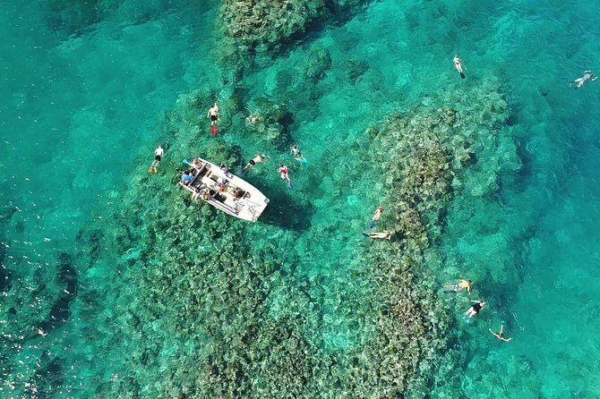 Discover Cascades & Turtle Experience with Yumi Tours - Pros and Cons Based on Real Experiences