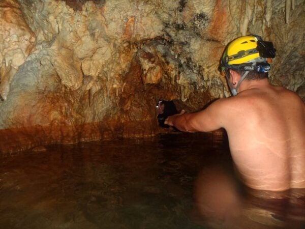 Discover Caving and via Ferrata/Climbing Mountain in Málaga - Getting to the Location